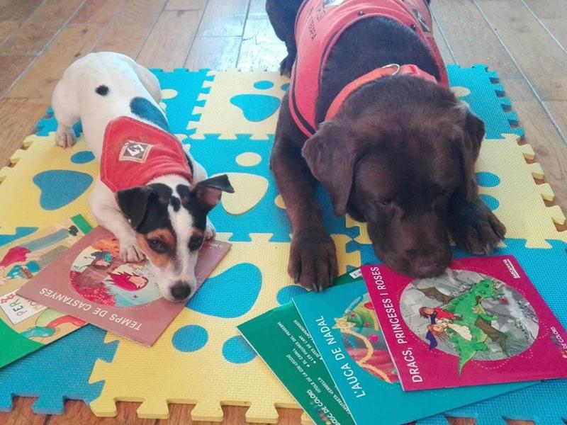 Foto 1 : La biblioteca de Sant Feliu de Gu&iacute;xols posa en marxa un taller de lectura amb gossos dirigit a nens i nenes</p