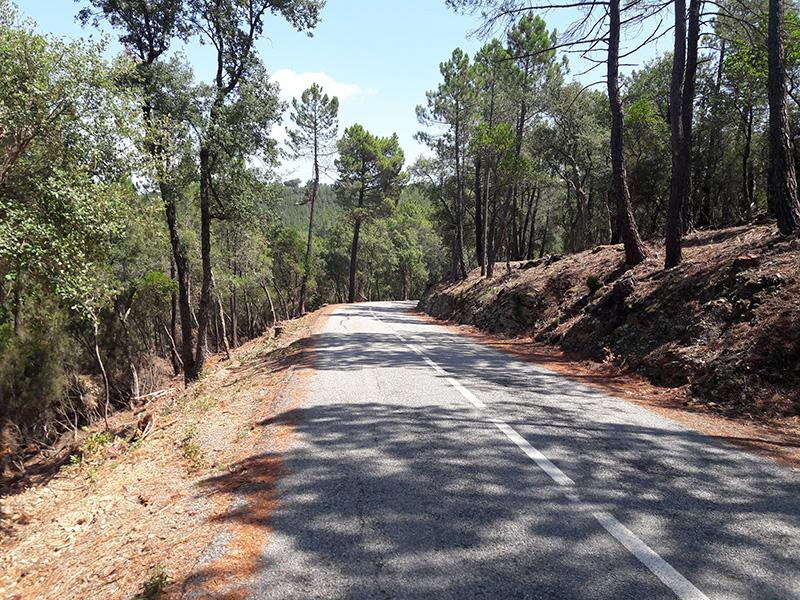 Foto : Acabament dels treballs de la carretera GIV-6703, la carretera dels Àngels