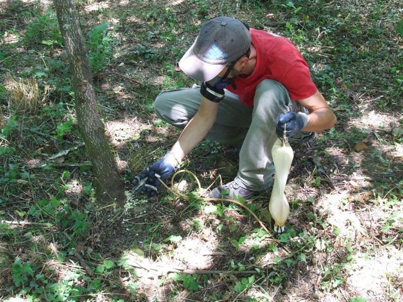 Foto : La Diputaci&oacute; de Girona, l&rsquo;Obra Social &ldquo;la Caixa&rdquo; i el Consorci de l&rsquo;Alta Garrotxa inic