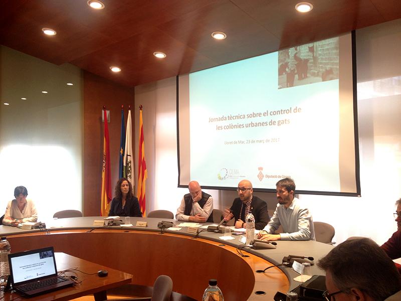 Foto : Jornada t&egrave;cnica sobre el control de les col&ograve;nies urbanes de gats