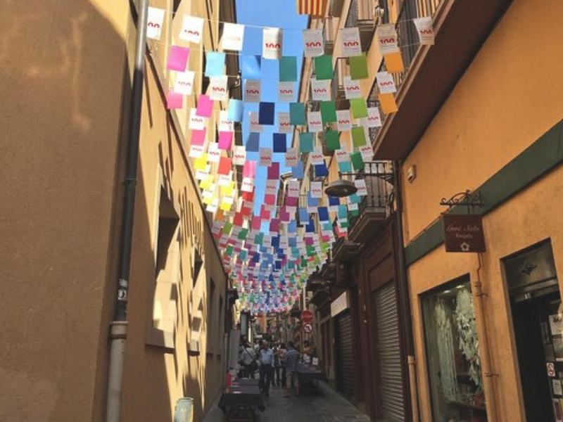 Foto 4: La biblioteca d'Olot celebra 100 anys