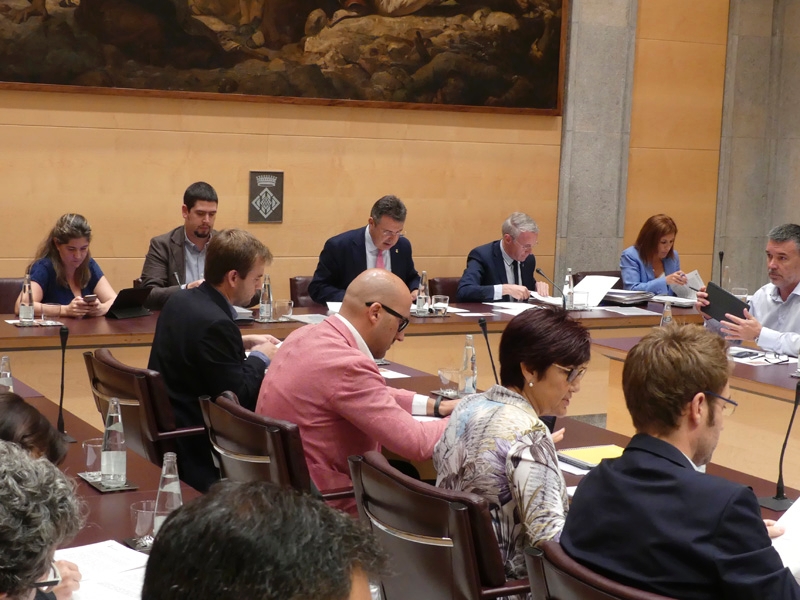 Foto 1 : El primer ple ordinari de la legislatura s'inicia amb una declaració institucional sobre el canvi climàtic