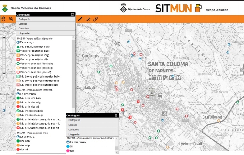 Foto 2: Es crea l'aplicació SITMUN - «Vespa asiàtica» per establir un registre de dades i informació territorial sobre aquest
