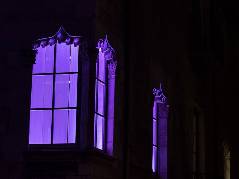 Foto 1: La Diputació il·lumina de lila la façana per al Dia Mundial dels Nens Prematurs
