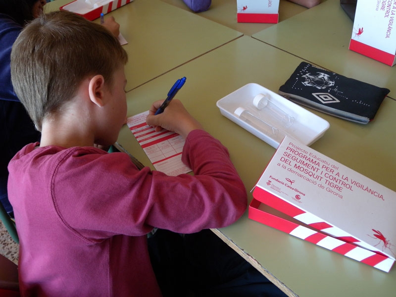 Foto : El Projecte educatiu del mosquit tigre de Dipsalut s'adapta al tancament de les escoles