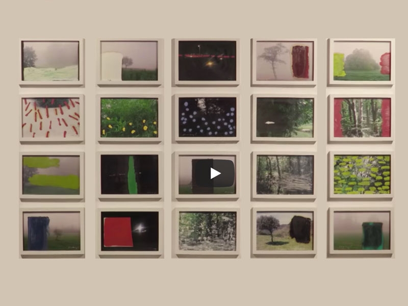 Foto : Voleu veure les Exposicions Viatgeres? Visiteu la nostra galeria d'art visual
