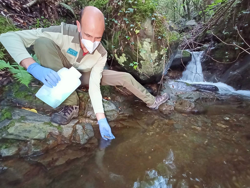 Foto : Alliberats a la natura 235 tritons del Montseny