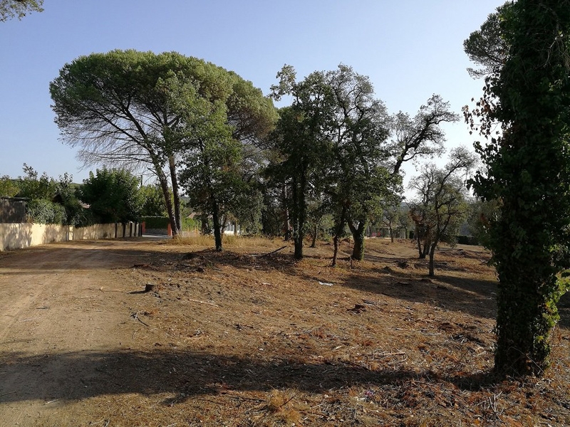 Foto : La Diputació destina 390.000 euros en ajuts a actuacions de prevenció d'incendis forestals i de gestió forestal soste