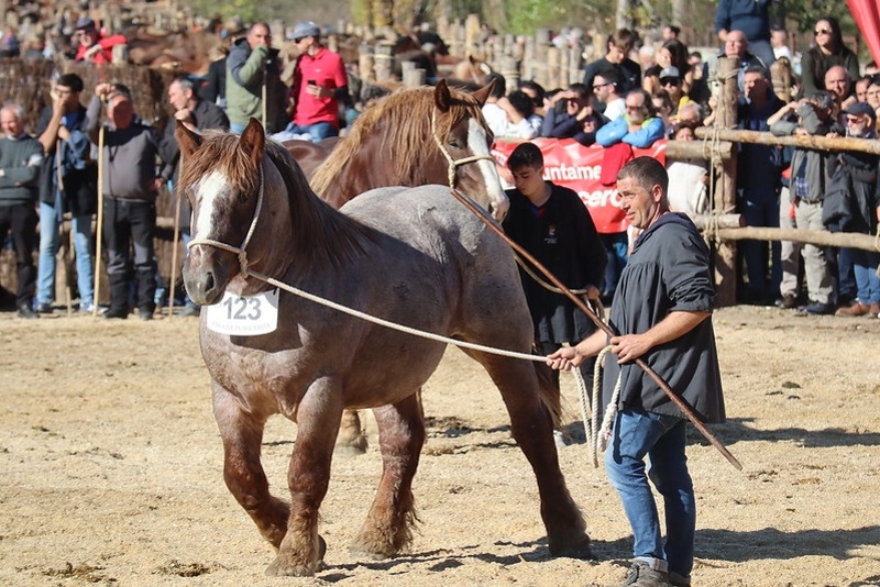 Foto 3: La Diputació de Girona col·labora amb la Fira Multisectorial i Ramadera de Puigcerdà, que rep enguany 20.000 visitant