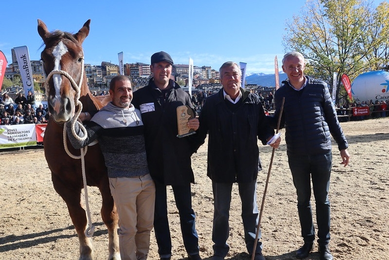 Foto 5: La Diputació de Girona col·labora amb la Fira Multisectorial i Ramadera de Puigcerdà, que rep enguany 20.000 visitant