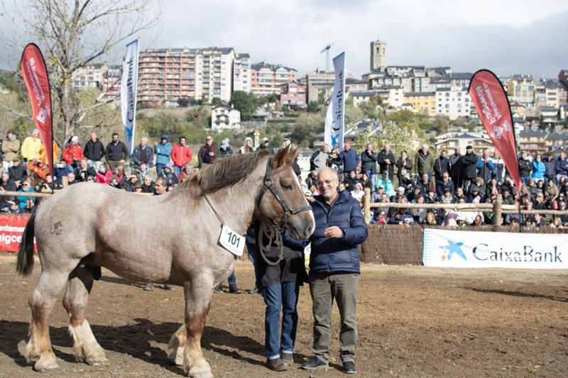 Foto 6: Fira de Puigcerdà i 42è Concurs de Cavalls de Puigcerdà amb la col·laboració de la Diputació de Girona&nbsp;
