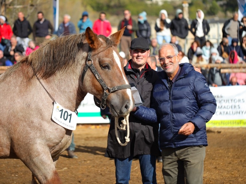Foto : Fotos: Ajuntament de Puigcerdà