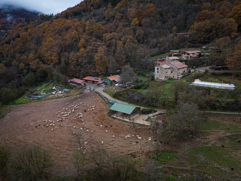 Foto : Fotos: Pau de la Calle, guanyadors Joves Fotògraf(e)s 2023</s