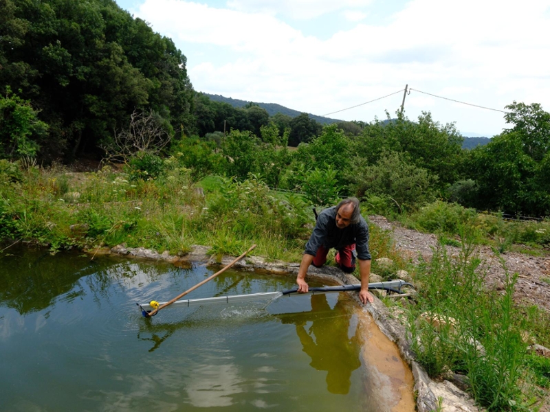 Foto 7: La Diputació crea una nova línia d'ajuts per instal·lar sistemes de recollida d'aigües pluvials en masies del Montsen