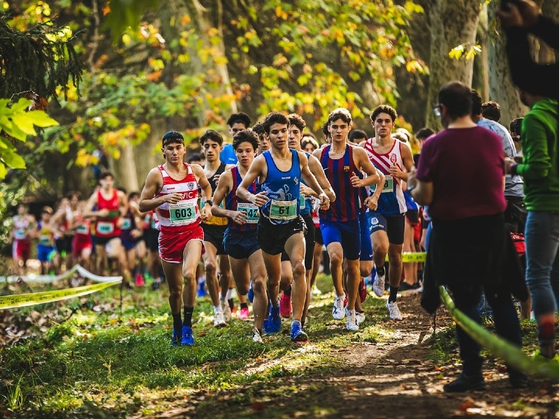 Foto : Fotos: Consell Esportiu de la Selva