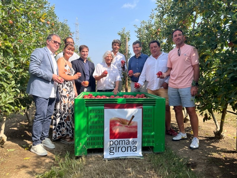Foto : Poma de Girona preveu una producció de més de 89.000 tones de pomes i manté la renovació varietal dels últims anys</p
