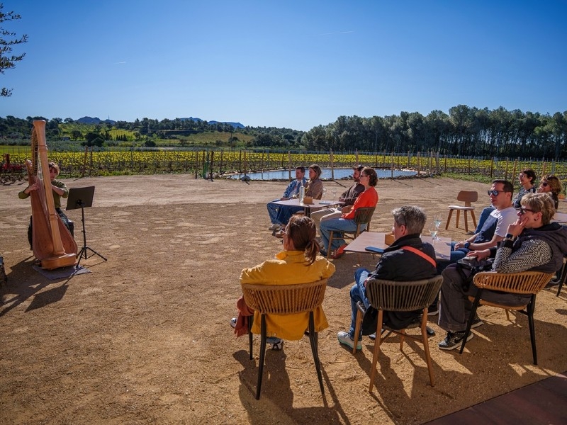 Foto 3: El Vívid, el mes de l'enoturisme a la Costa Brava, tanca amb el 85 % d'ocupació i 2.291 participants
