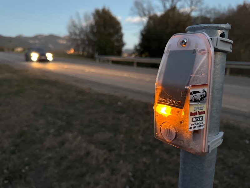 Foto : Fotos: P. Duran / Nordmedia