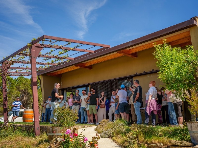 Foto 2: El Vívid, el mes de l'enoturisme a la Costa Brava, tanca amb el 85 % d'ocupació i 2.291 participants
