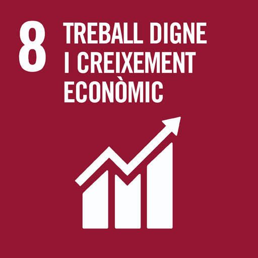 ODS 8. Treball digne i creixement econòmic