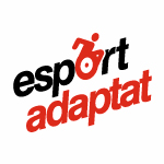 Esport adaptat